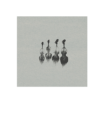 String Ensemble Sample library