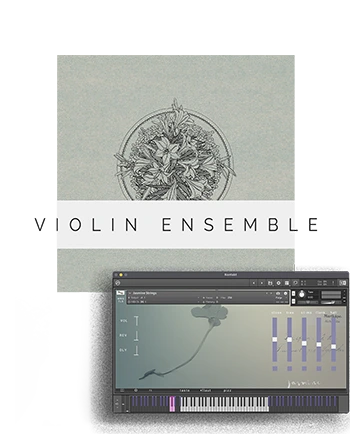 Strings Tailored for use in Native Instruments Kontakt