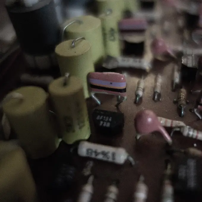 organ gutz