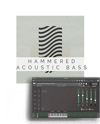 Bass Sample Library for Kontakt