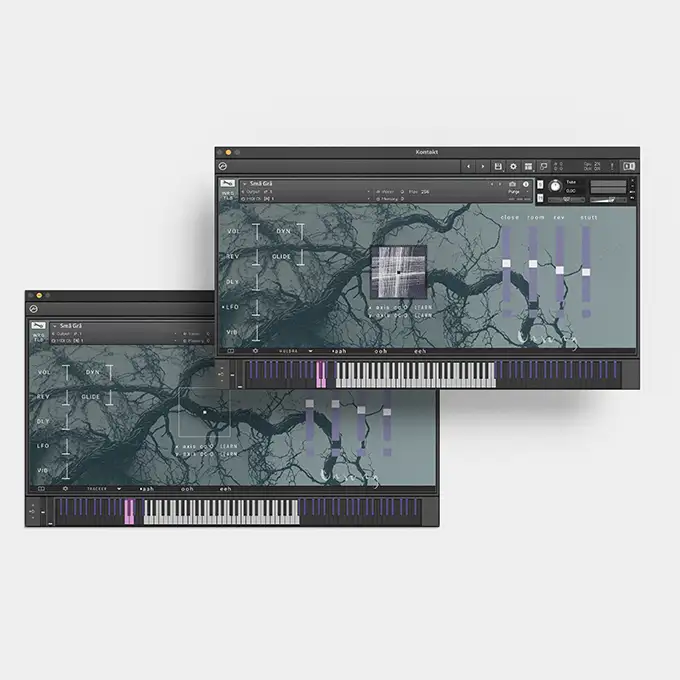 user interface choir library VST