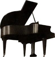 WT001005-piano-mule-transp
